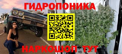 дмт Бузулук