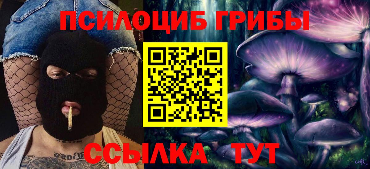 Галлюциногенные грибы мицелий Чебаркуль