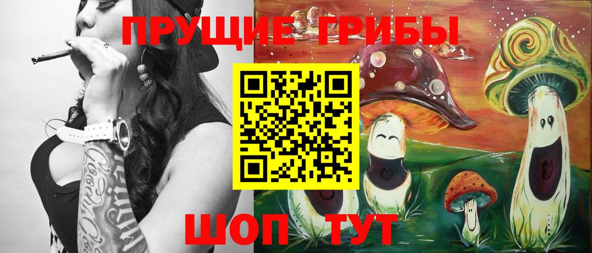 Галлюциногенные грибы Psilocybe  Вход с VPN  Чебаркуль  Псилоцибиновые грибы Psilocybe 